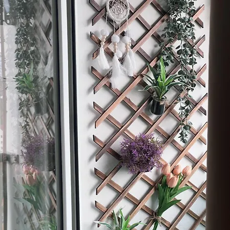 2 - Design 公寓 德累斯顿